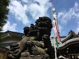 2017-05-27 09.32.28.jpg