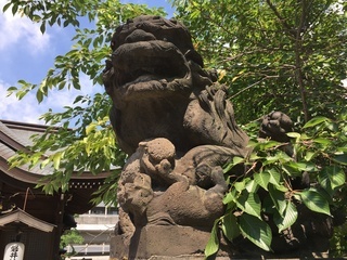 2017-05-27 09.32.48.jpg