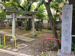 2017-05-27 11.36.13.jpg