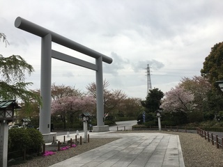 2018-04-06 11.51.13.jpg