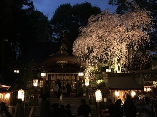 2018-04-06 18.27.54.jpg